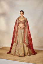 The Khubani Ka Meetha Lehenga