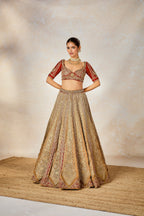 The Khubani Ka Meetha Lehenga