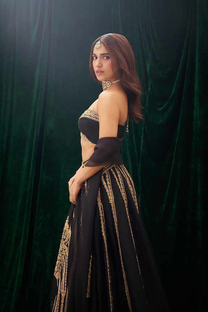 The 'Aankhon ka Paigam' Lehenga