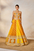 The Son Patissa Lehenga
