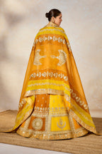 The Son Patissa Lehenga