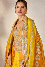 The Son Patissa Lehenga