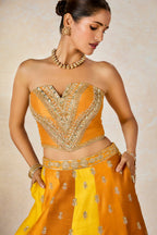 The Son Patissa Lehenga