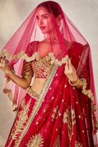 The Aalu Bukhara Lehenga