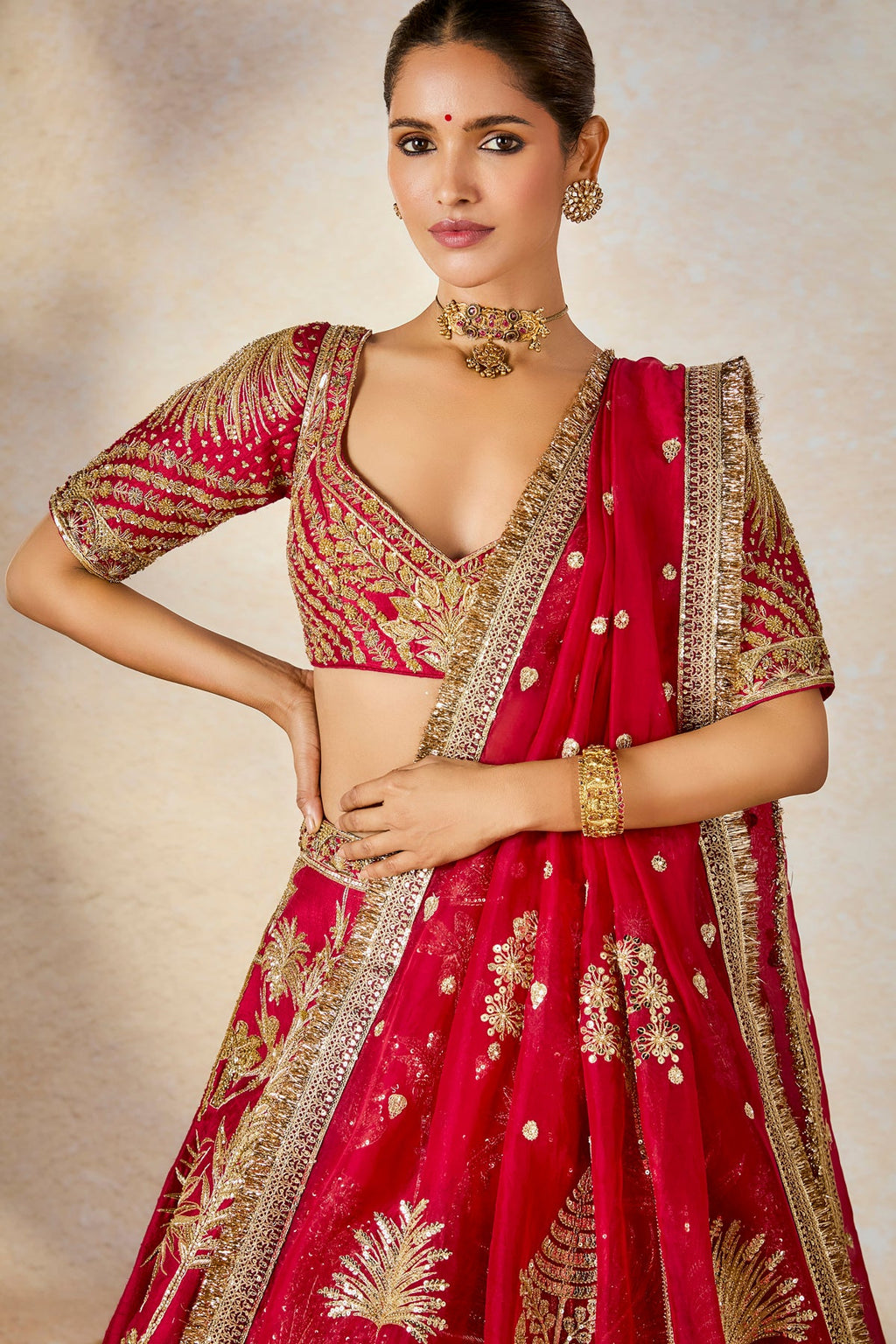 The Aalu Bukhara Lehenga