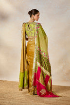 The Son Barfi Saree