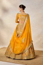 Imarti Lehenga