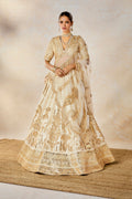 Malai Barfi Lehenga