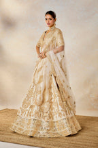 Malai Barfi Lehenga