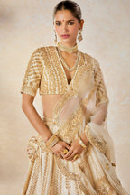 Malai Barfi Lehenga