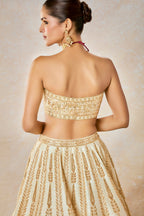 Malai Barfi Cape Lehenga