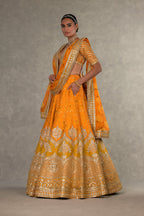 Rust Narangi-Bagh  Lehenga