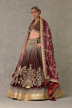 Wine Dil-Chidiya Lehenga