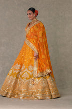 Rust Narangi-Bagh  Lehenga