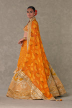 Rust Narangi-Bagh  Lehenga