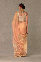 Shahi Tukda Tissue Saree