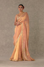 Shahi Tukda Tissue Saree