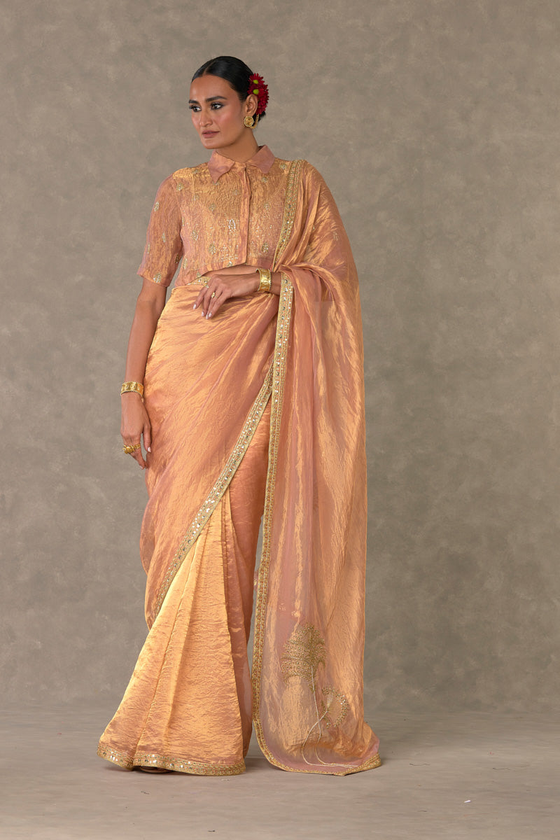 Shahi Tukda Tissue Saree