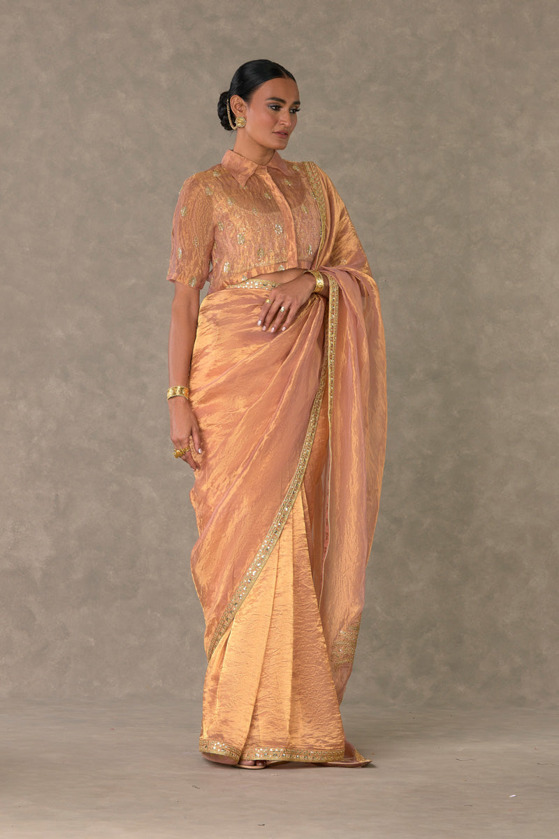 Shahi Tukda Tissue Saree