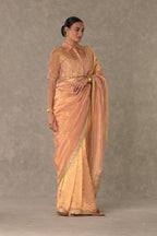 Shahi Tukda Tissue Saree