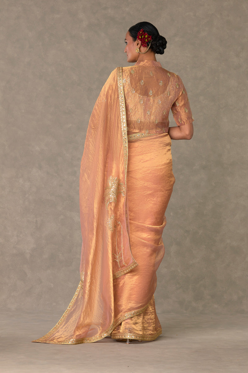 Shahi Tukda Tissue Saree