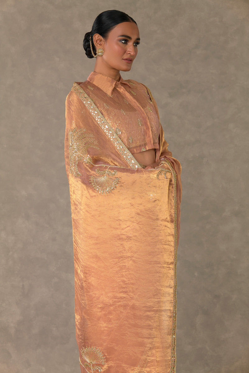 Shahi Tukda Tissue Saree