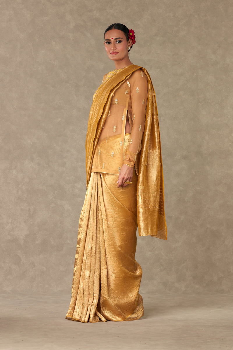 Sunehri Tissue  Saree