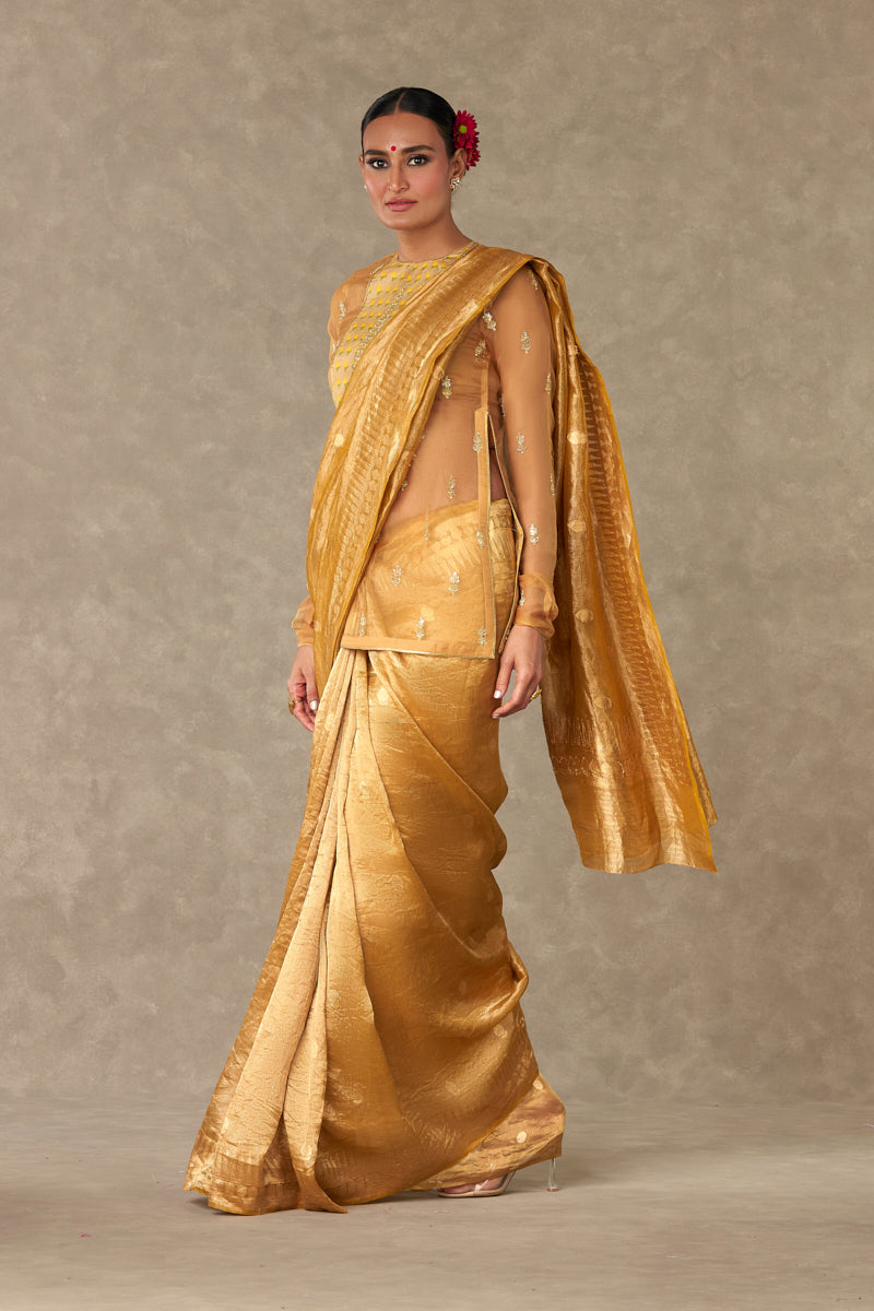 Sunehri Tissue  Saree