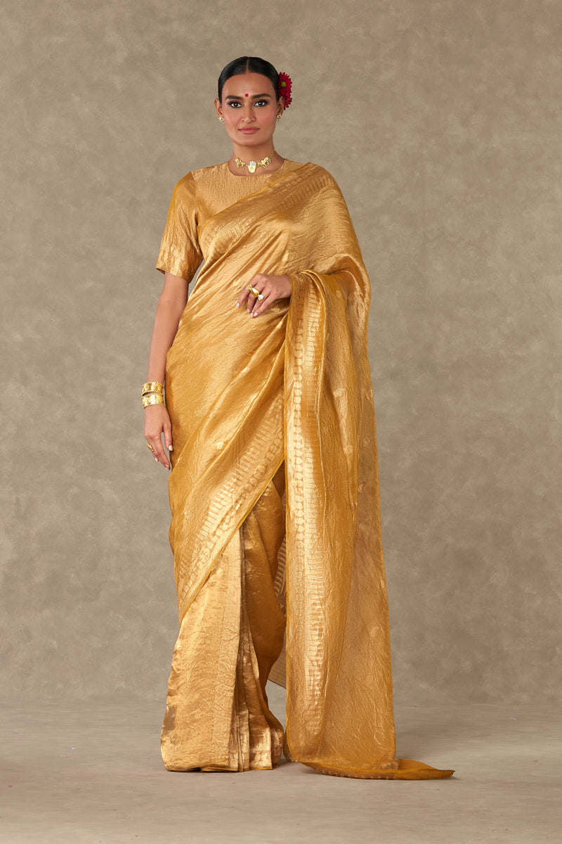 Sunehri Tissue  Saree