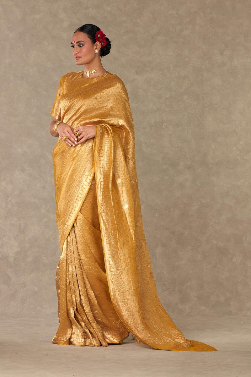 Sunehri Tissue  Saree