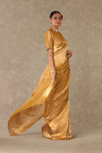Sunehri Tissue  Saree