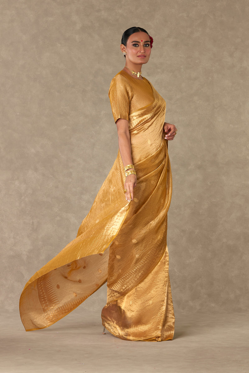 Sunehri Tissue  Saree