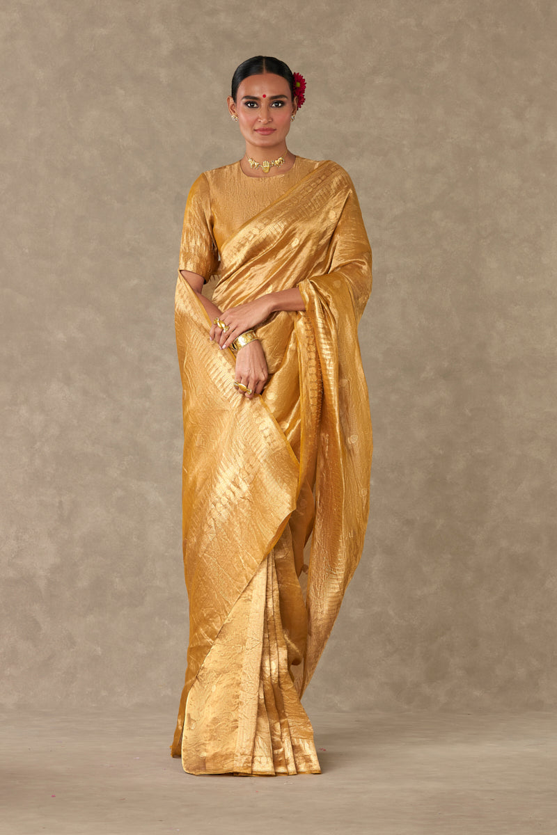 Sunehri Tissue  Saree