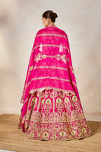 Dilli 6 Lehenga Set