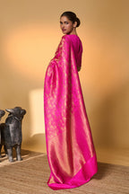 Rani Chaand Chaukor Saree
