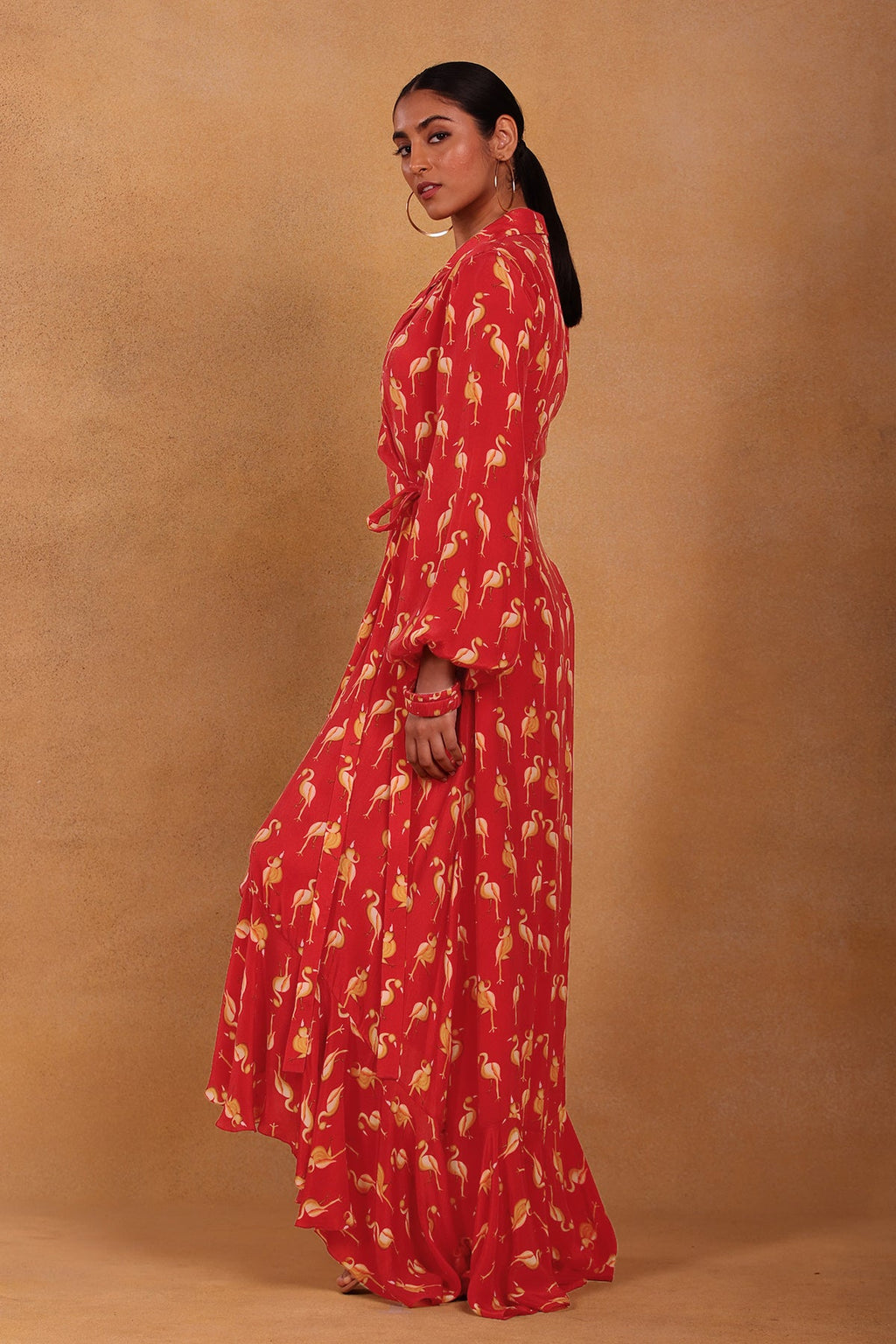 Maroon Mr Beaks Wrap Dress