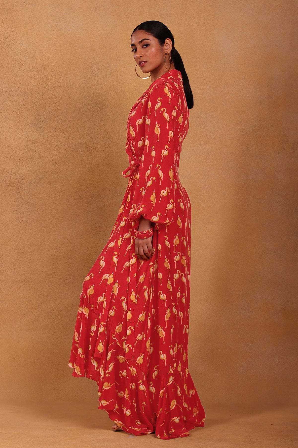 Maroon Mr Beaks Wrap Dress