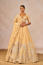 The 'Chandni' Lehenga