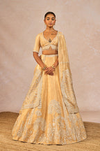 The 'Chandni' Lehenga