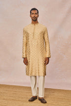 Beige Pixie Dust Kurta Set