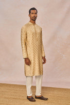 Beige Pixie Dust Kurta Set
