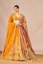 The 'Dil Lubhata' Lehenga