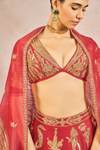 The 'Dhadkan' Lehenga